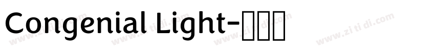 Congenial Light字体转换